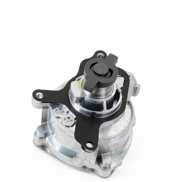 Audi TT RS Brake Vacuum Pump RADHLBNIU-1